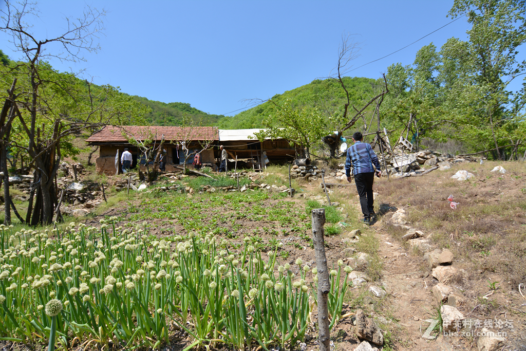 丹东腰岭子村风光