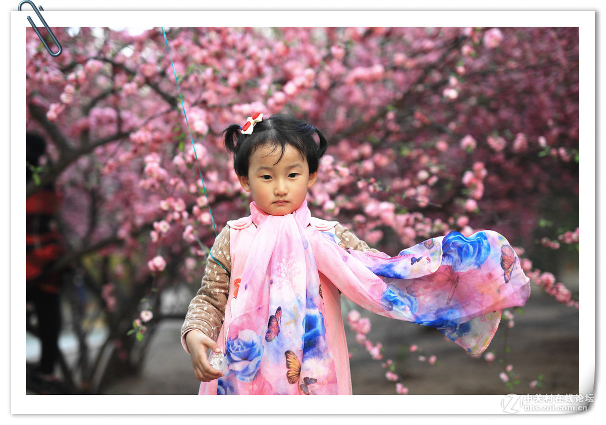 新进适马50-1.4，试拍。感觉挺好啊！