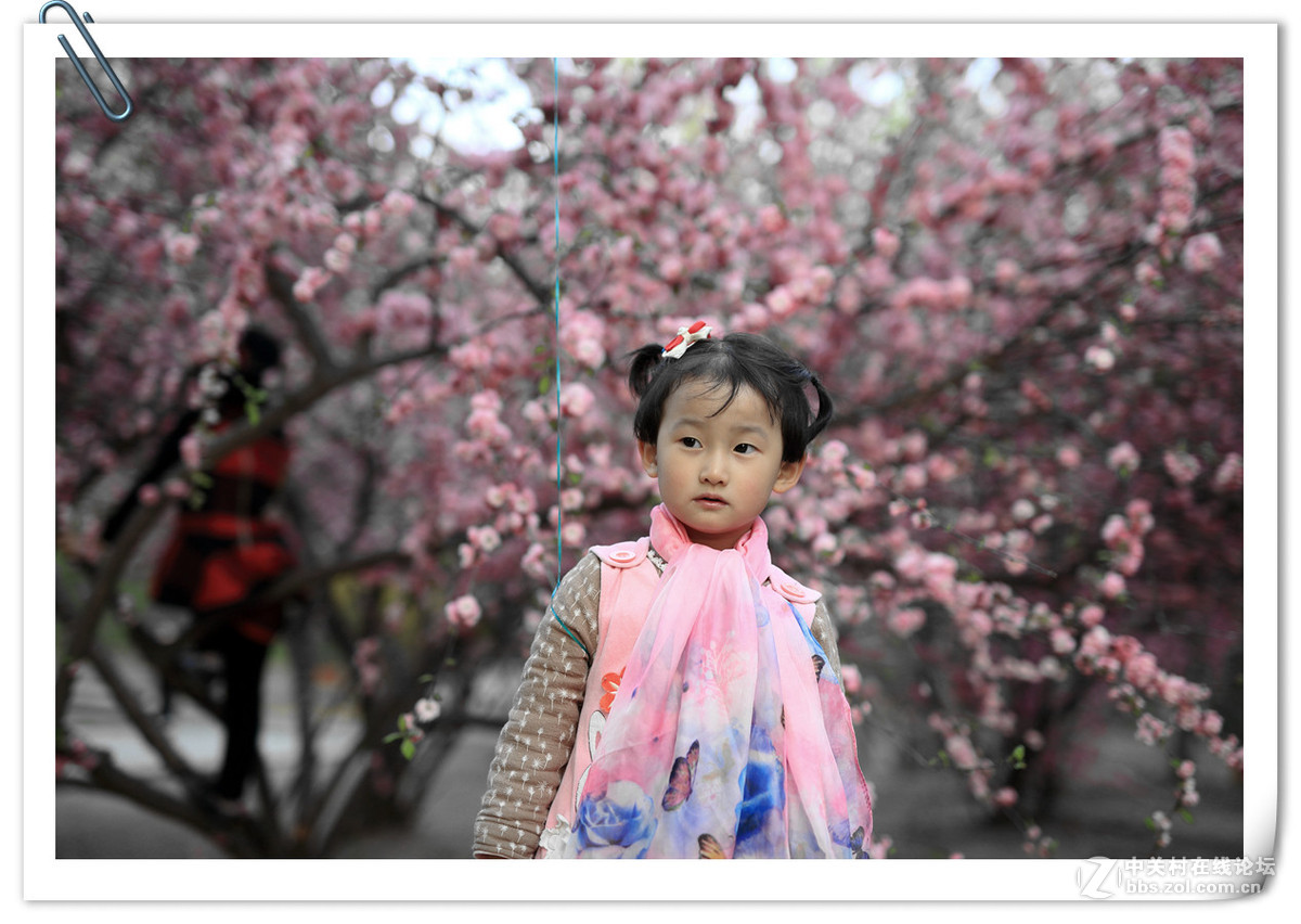 新进适马50-1.4，试拍。感觉挺好啊！