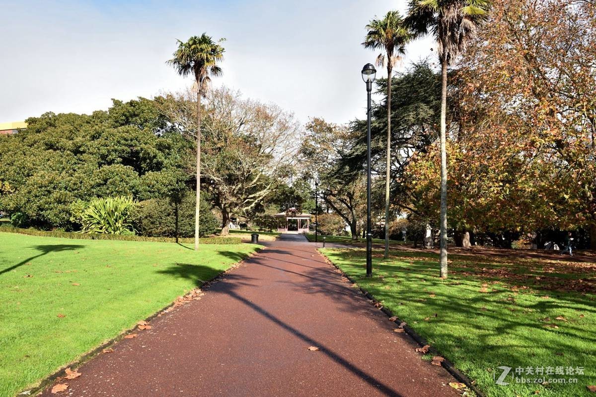 奥克兰阿尔伯特公园