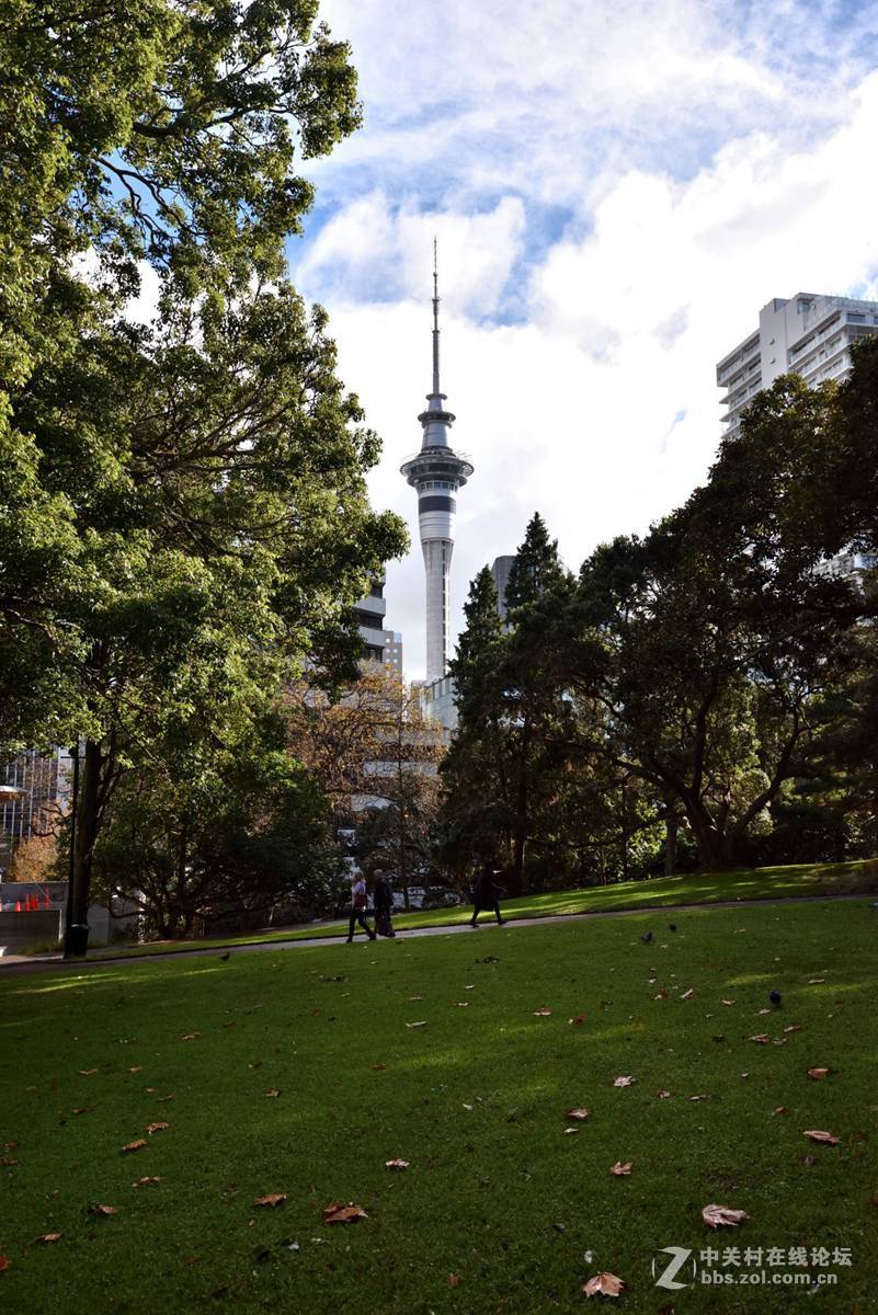 奥克兰阿尔伯特公园