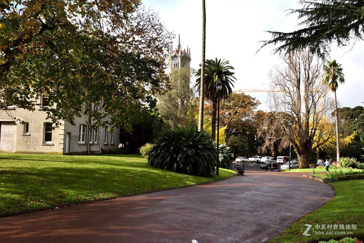 奥克兰阿尔伯特公园