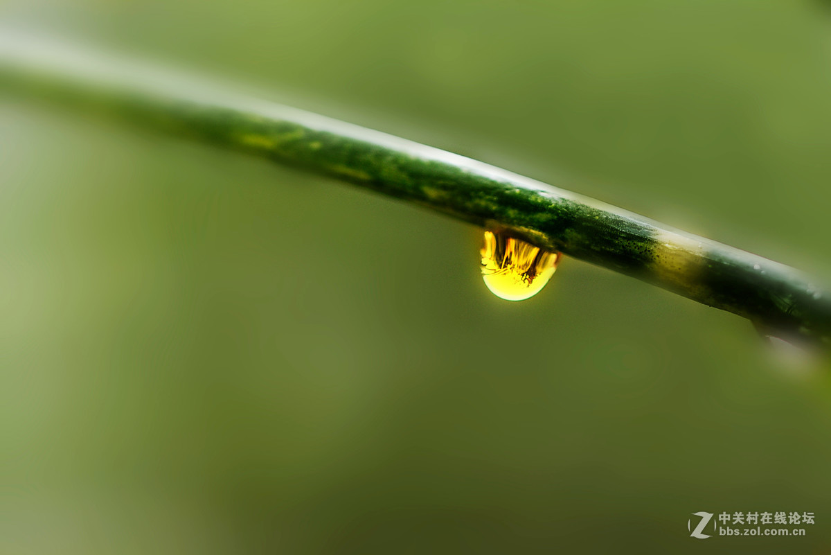 雨滴