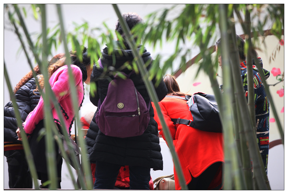 纪实  蜀绣的传承人