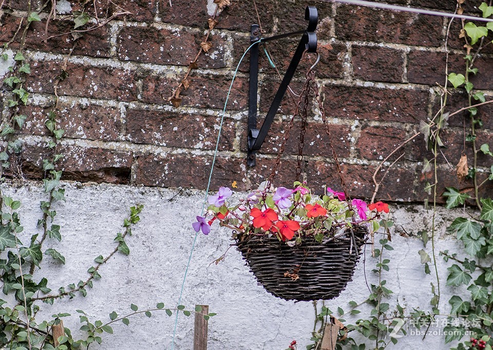 这只镜头你觉得如何（交流）
