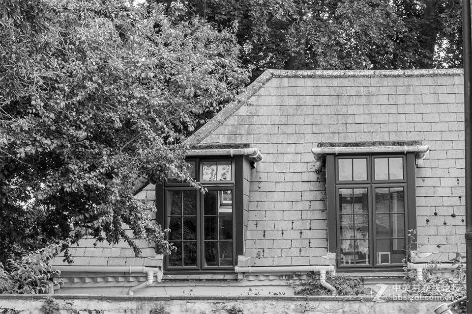 这只镜头你觉得如何（交流）