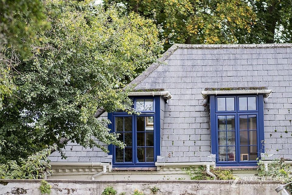 这只镜头你觉得如何（交流）