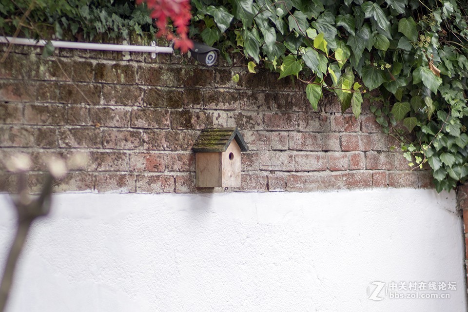 这只镜头你觉得如何（交流）