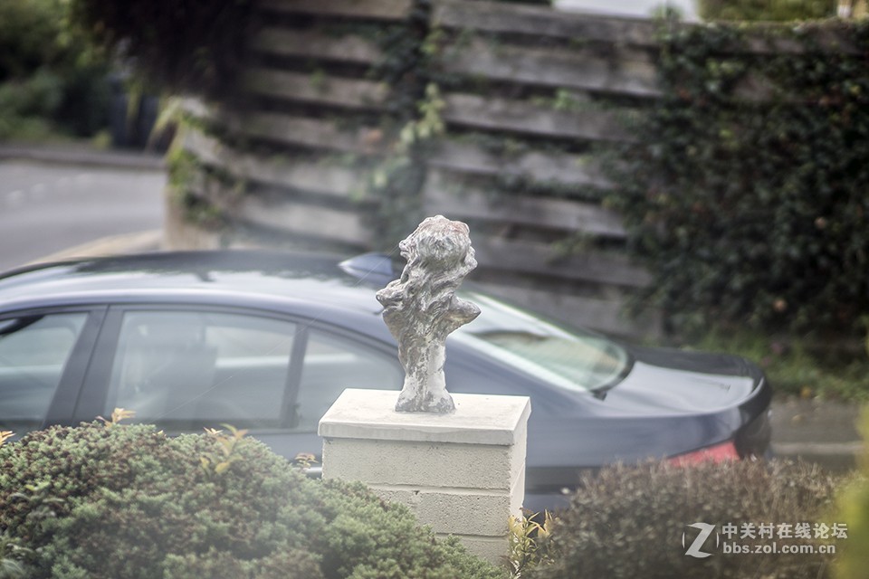 这只镜头你觉得如何（交流）