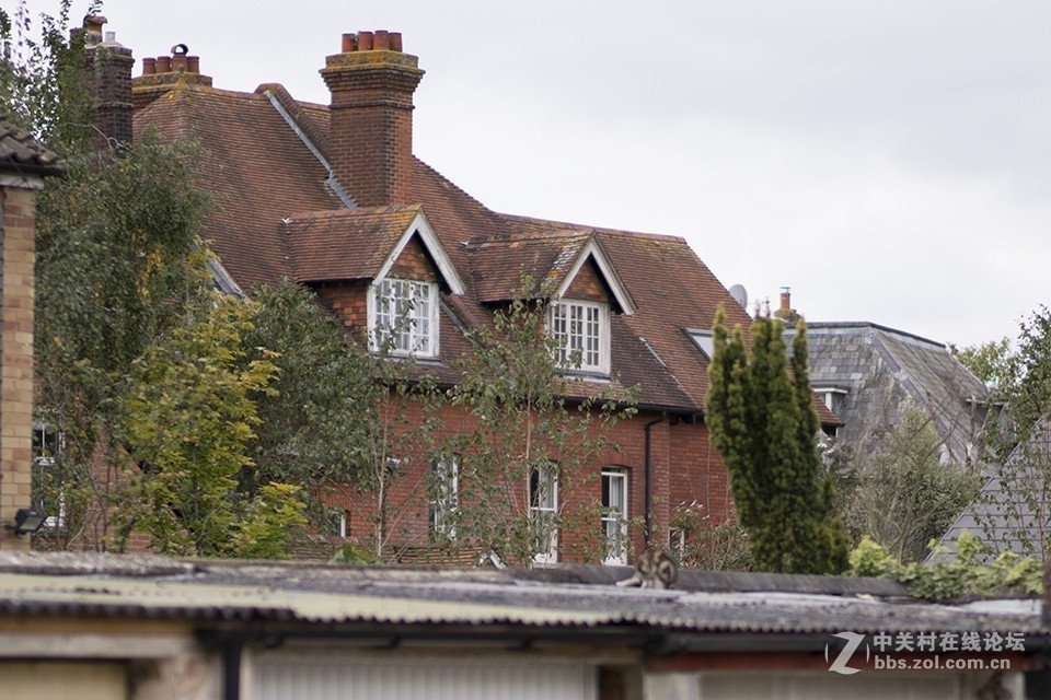 这只镜头你觉得如何（交流）