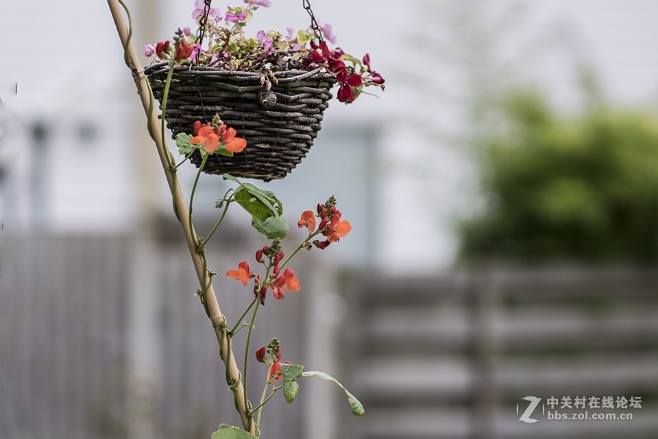 这只镜头你觉得如何（交流）