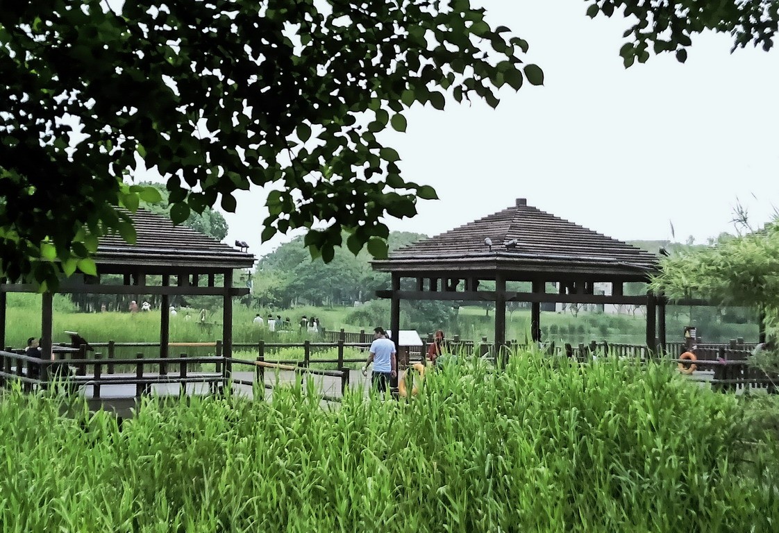 江苏省昆山市花桥天福国家生态湿地公园