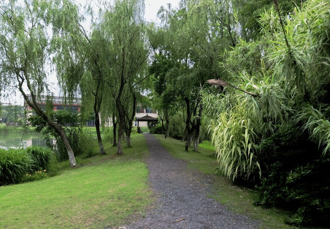 江苏省昆山市花桥天福国家生态湿地公园