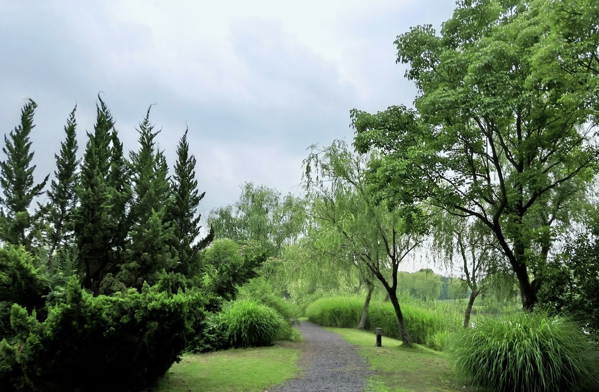 江苏省昆山市花桥天福国家生态湿地公园