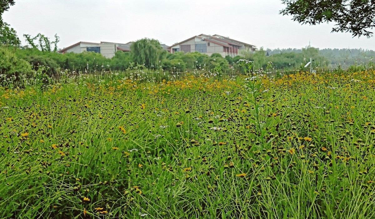 江苏省昆山市花桥天福国家生态湿地公园