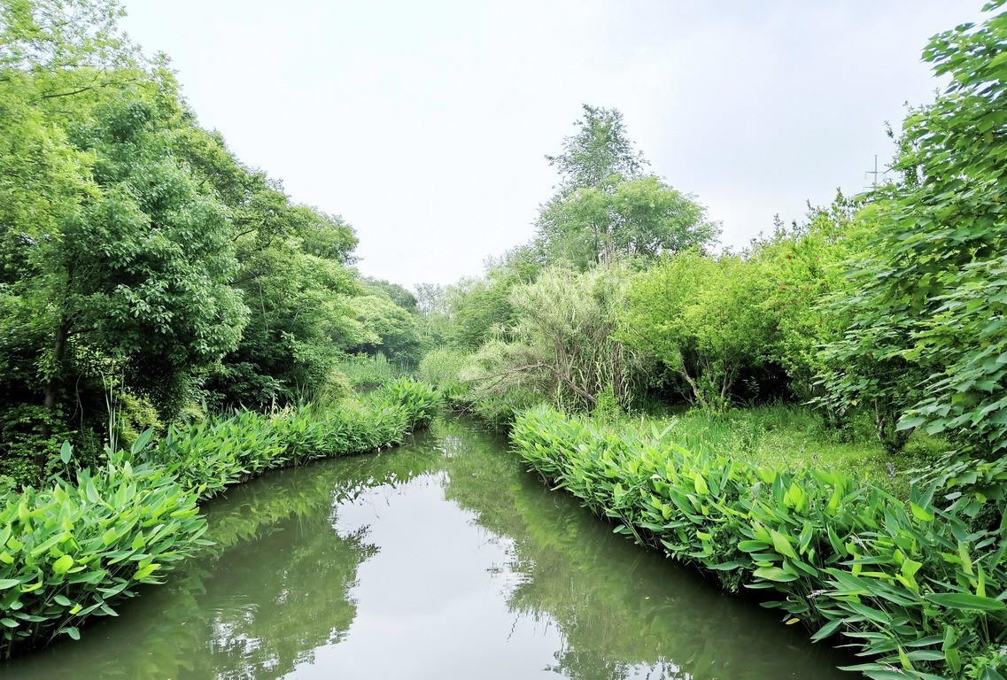 江苏省昆山市花桥天福国家生态湿地公园