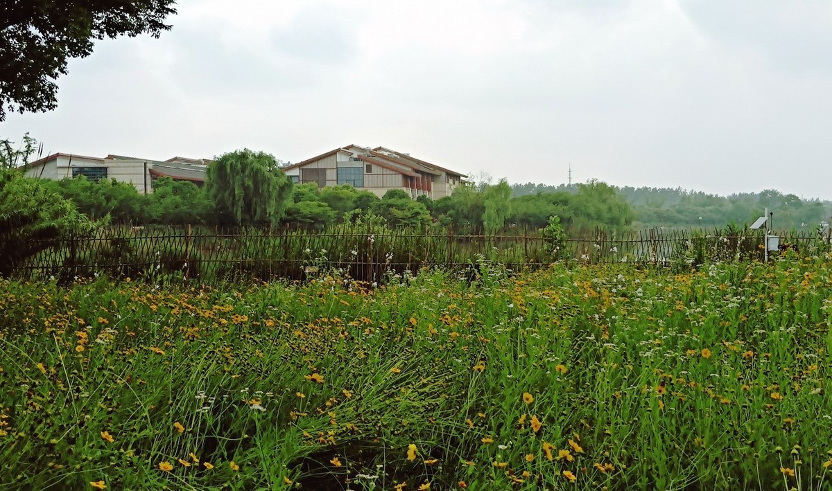 江苏省昆山市花桥天福国家生态湿地公园