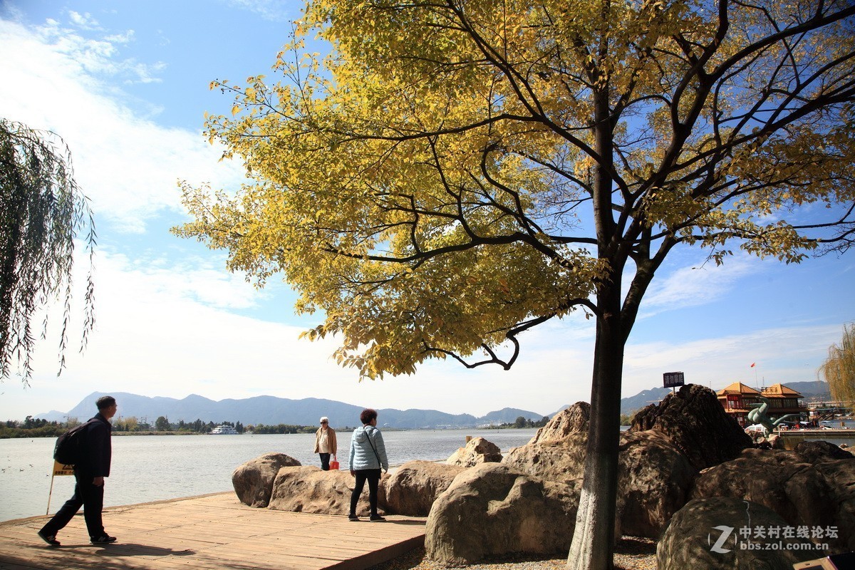 游大观楼公园随拍