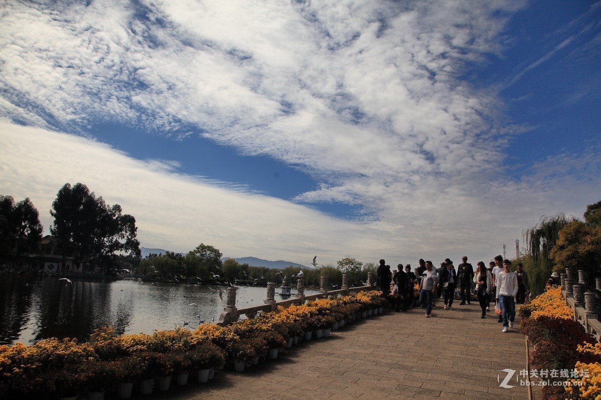 游大观楼公园随拍