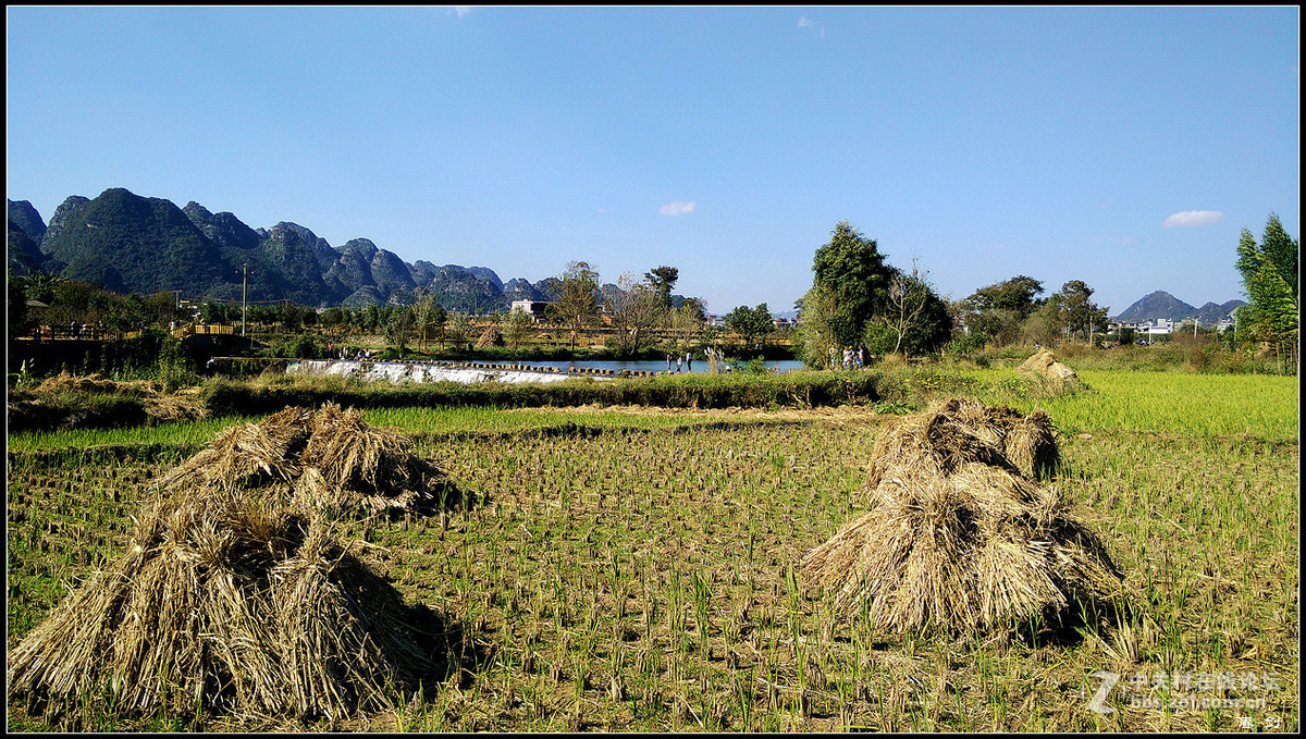 郊游拍景（手机版）