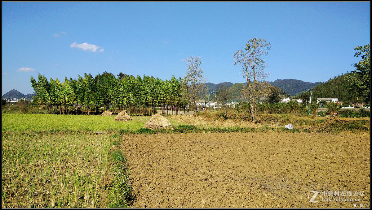 郊游拍景（手机版）