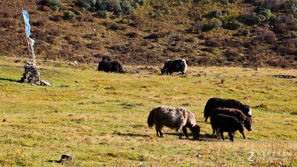 2016国庆-行摄川西