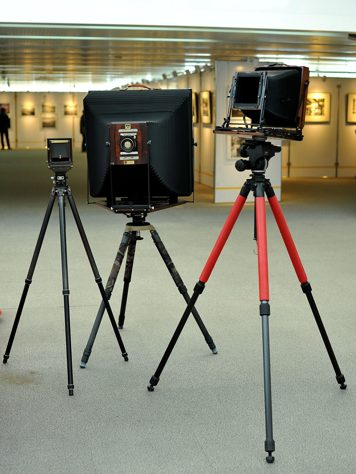 天津泰达图书馆【呈现-大画幅摄影展】