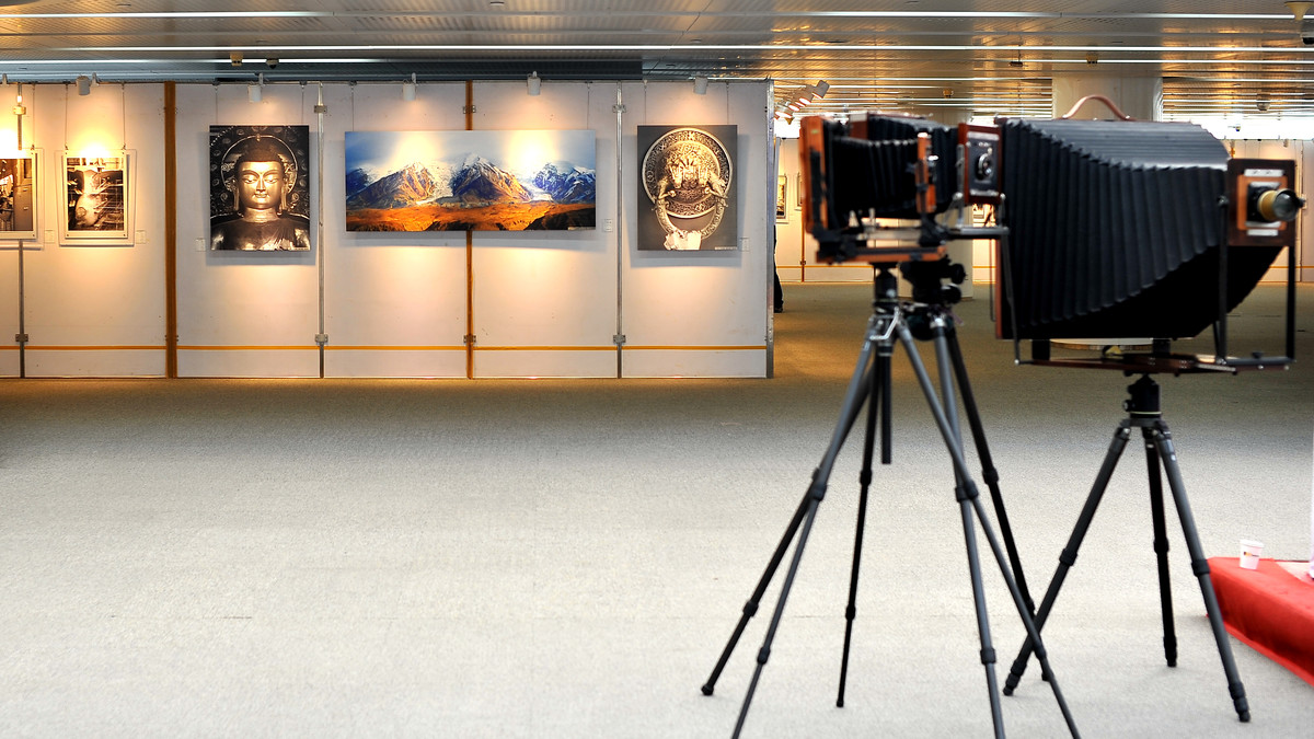 天津泰达图书馆【呈现-大画幅摄影展】