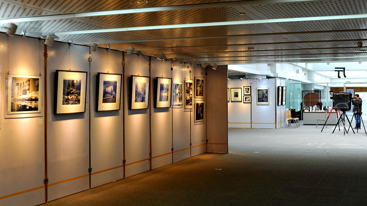 天津泰达图书馆【呈现-大画幅摄影展】