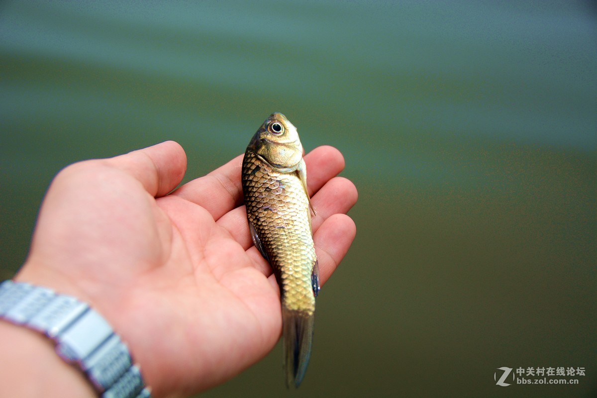 新买的18-200镜头，试拍一下效果。