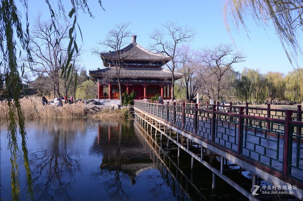 圆 明 园 ----------深  秋