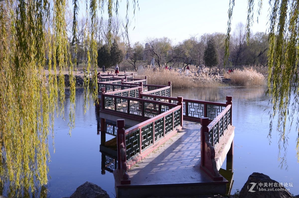 圆 明 园 ----------深  秋