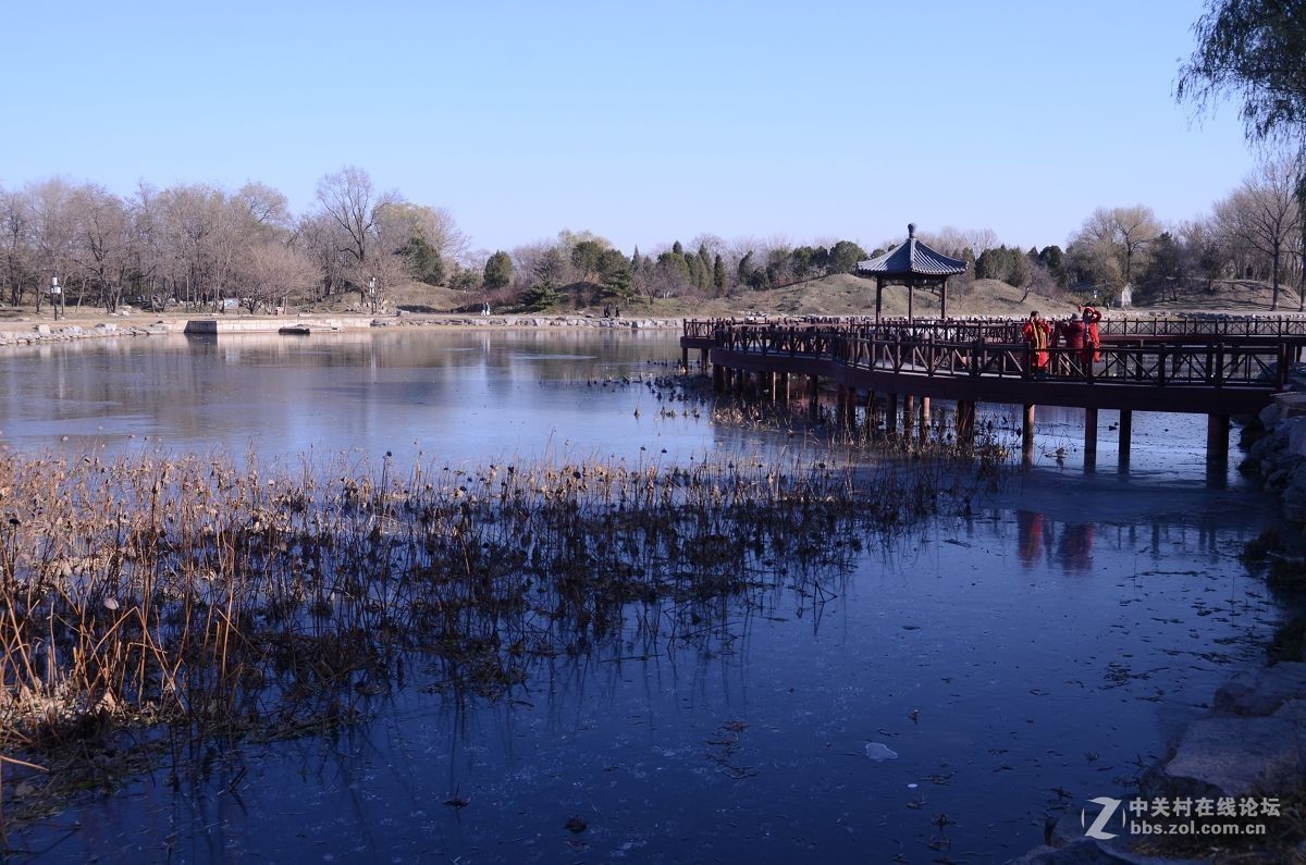 圆 明 园 ----------深  秋