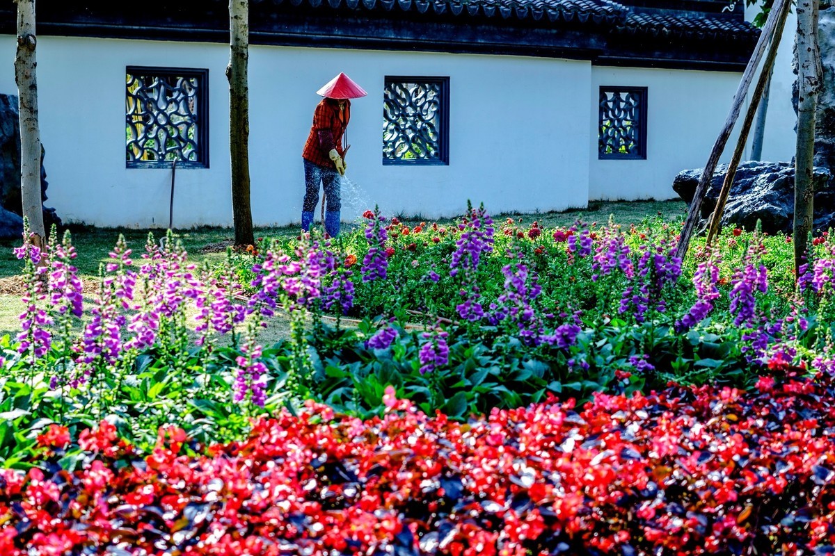 公园里的花花草草。。。。。。。。。。。。。。。。！