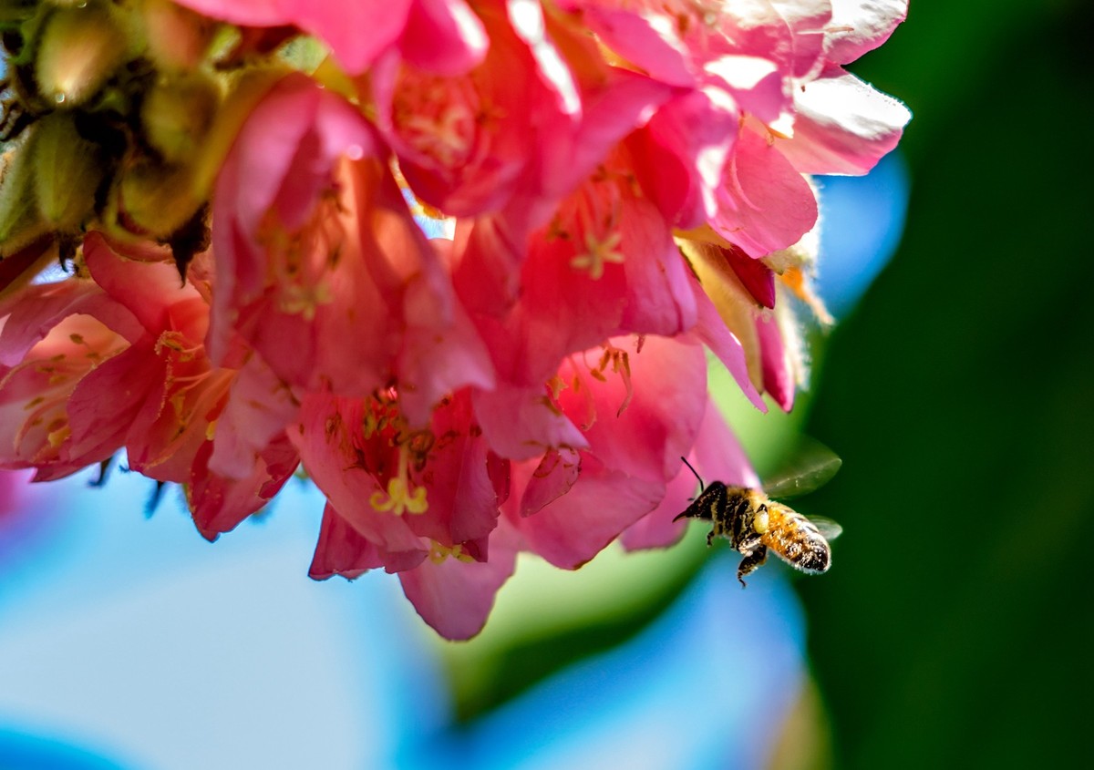 公园里的花花草草。。。。。。。。。。。。。。。。！