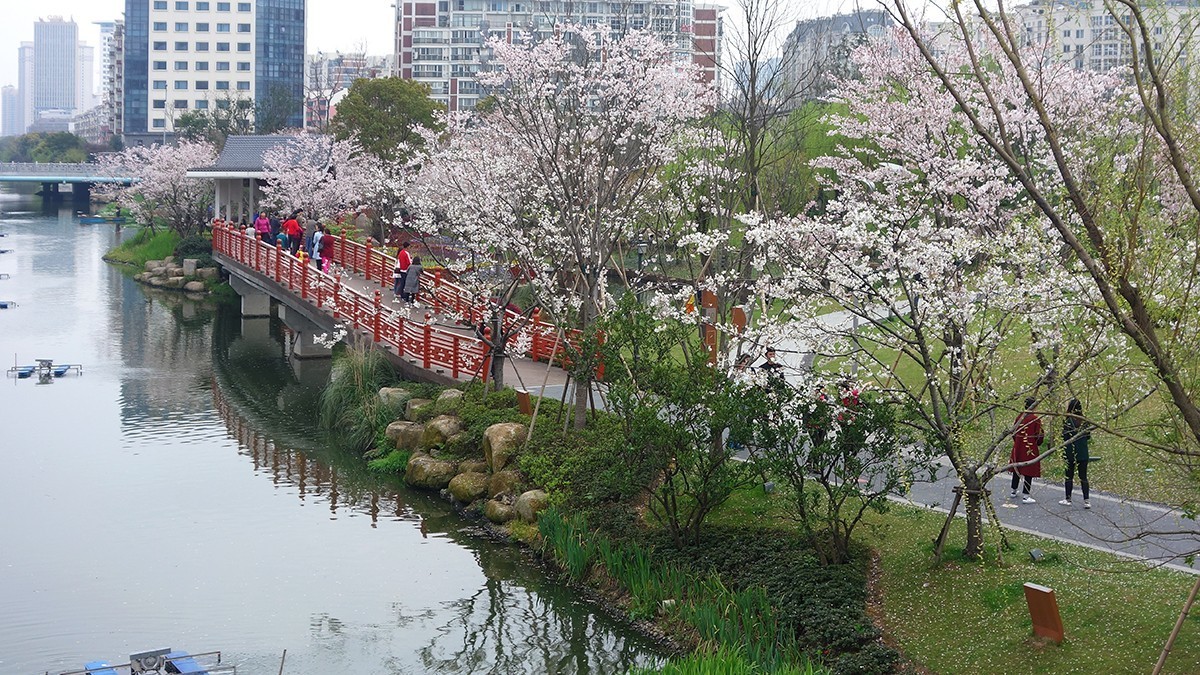 春意萌动的季节