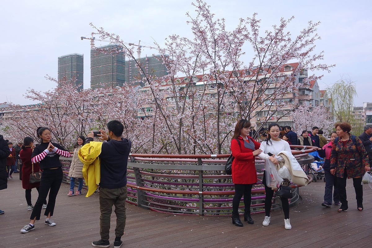 春意萌动的季节