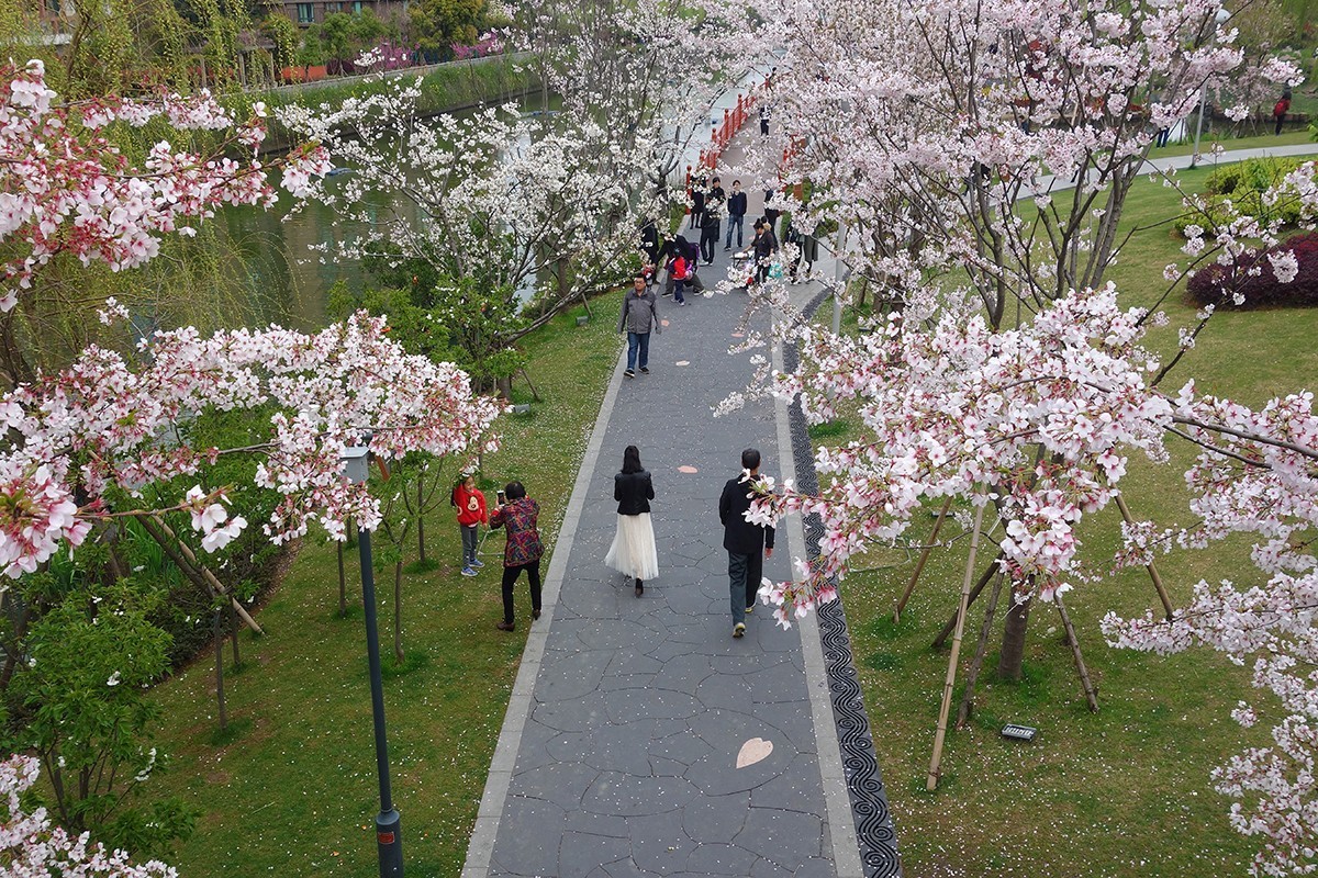 春意萌动的季节