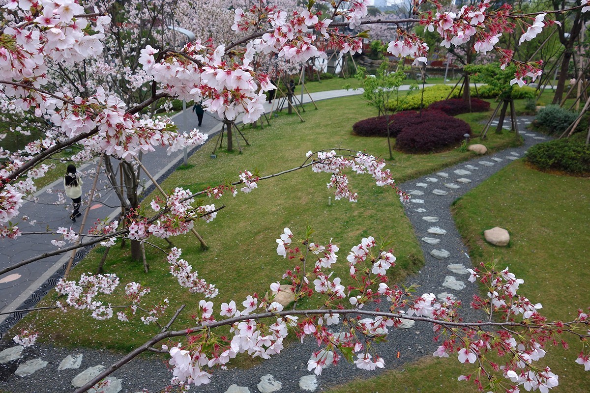 春意萌动的季节
