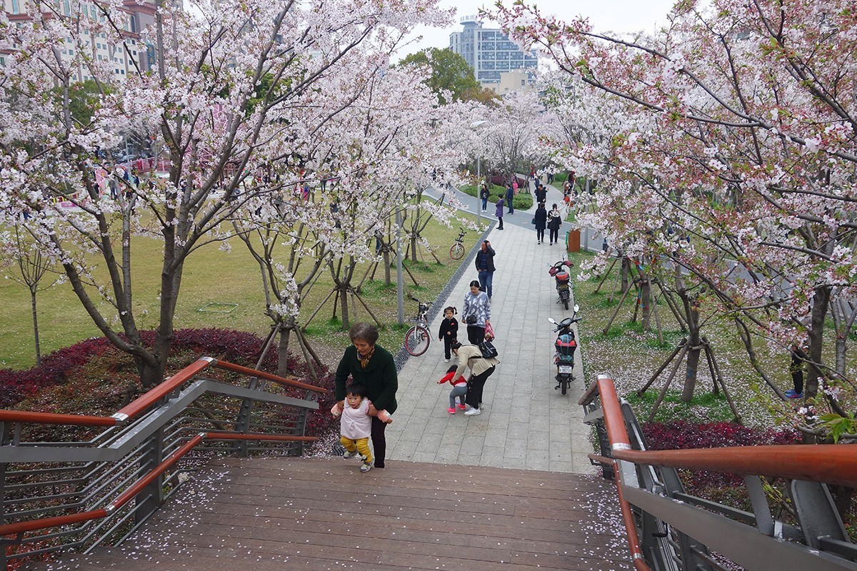 春意萌动的季节