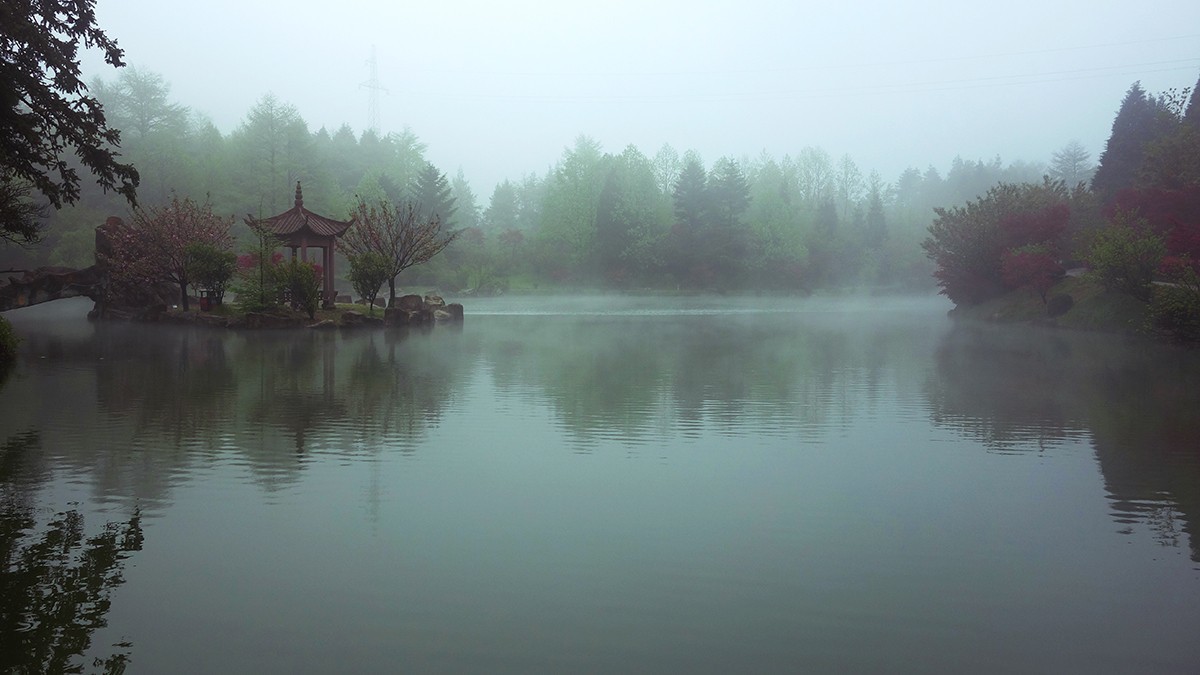 春意萌动的季节
