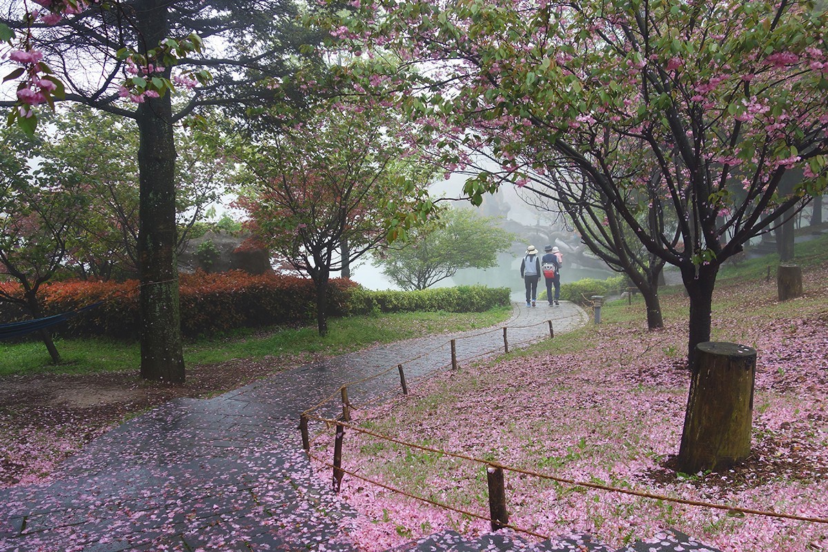 春意萌动的季节