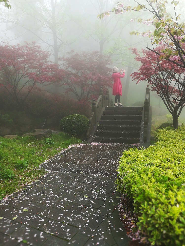 春意萌动的季节