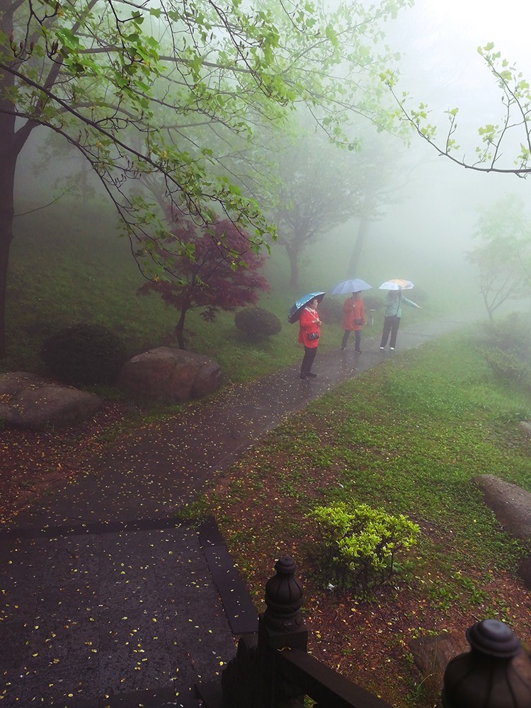 春意萌动的季节