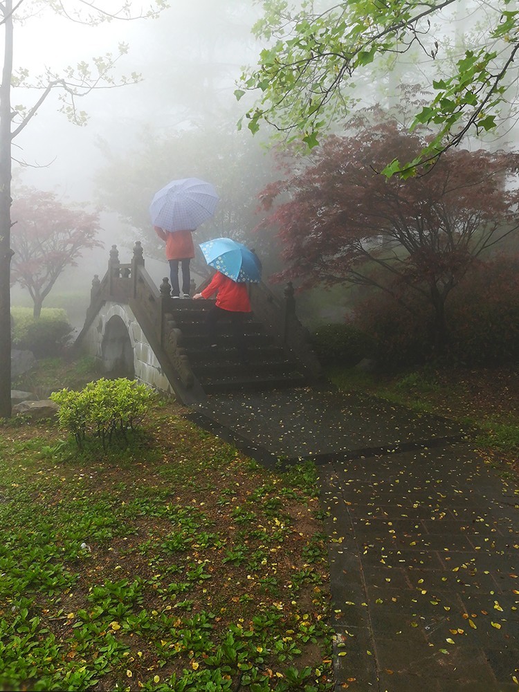春意萌动的季节