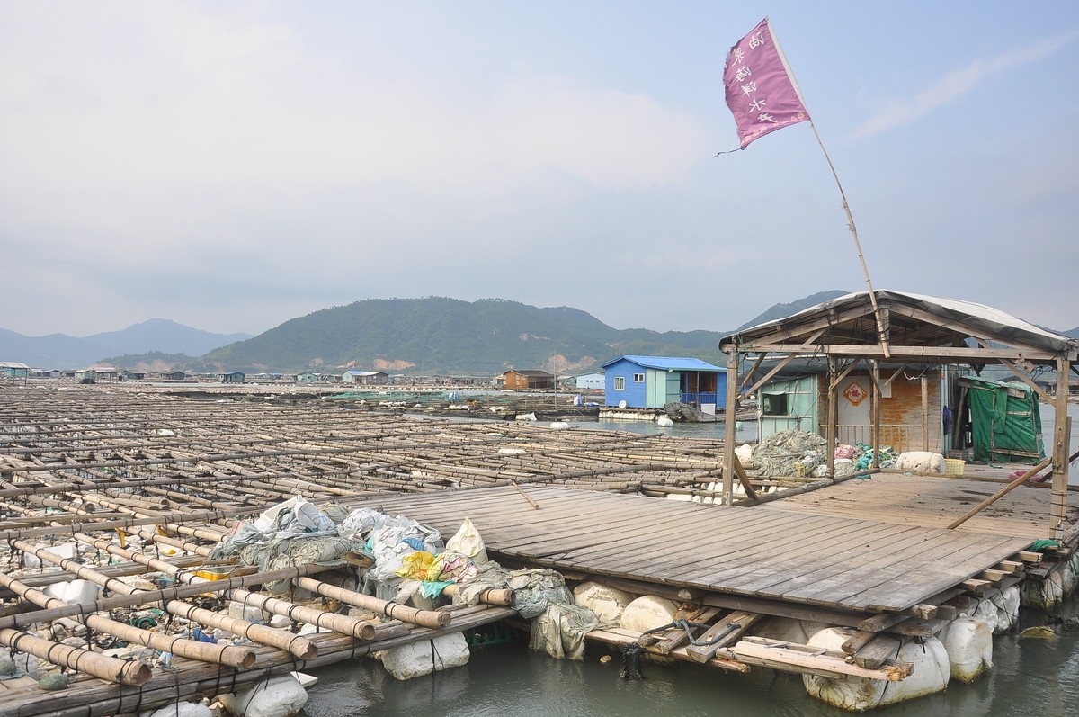 福建霞浦東安海上魚排掠影