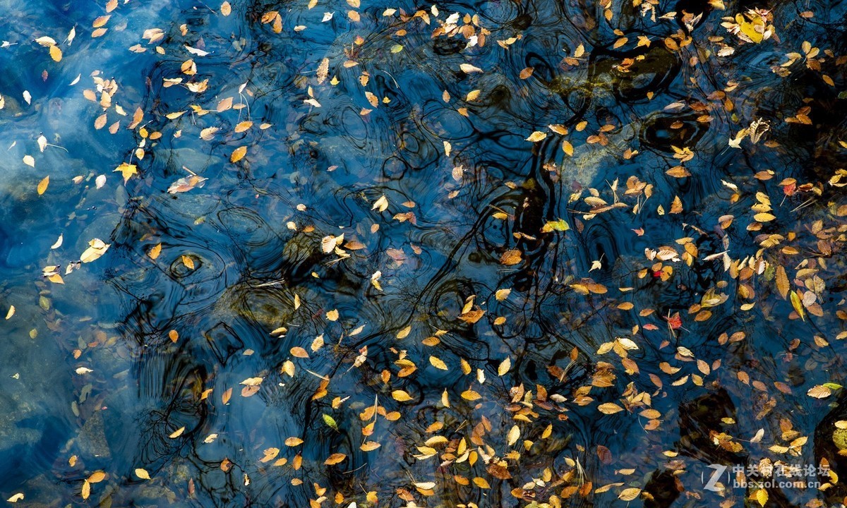 客来自远方-游光雾山十八月潭