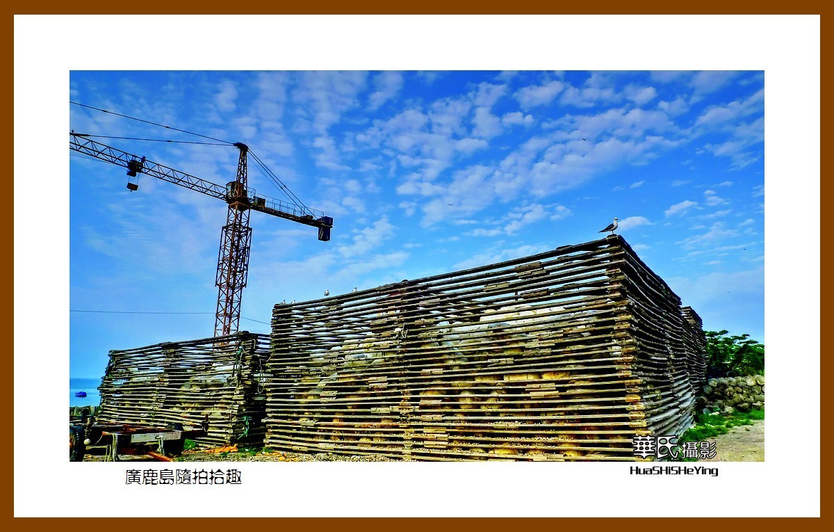 美色辽宁——广鹿岛随拍拾趣（大连市长海县）