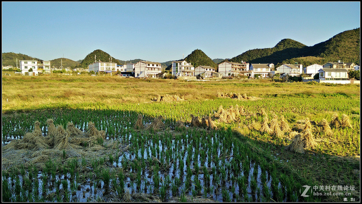 郊游拍景（手机版）