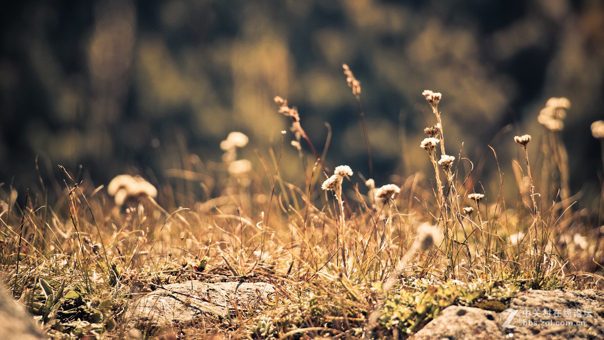 2016国庆-行摄川西